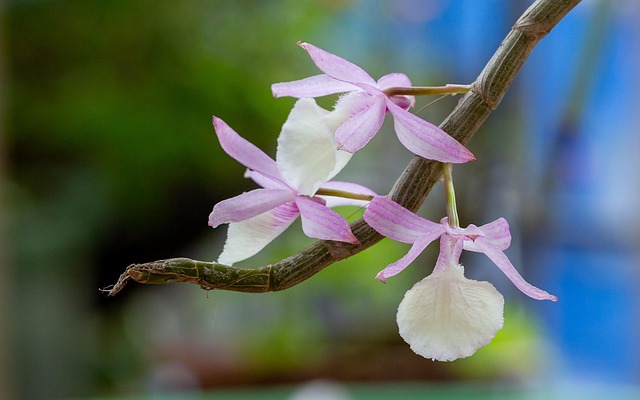 G0b3c29ebb55cf5c8f42289d25b957d171ac93a1345541d7caf5ec748d818488e7543f12a8db8d13dfa361576cd13c1be95fe540a3e137ca892b9d49dfff05df7 640