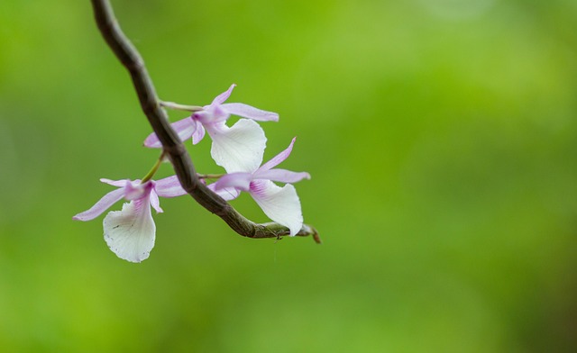 G3ce03deddd2d9a2826380809065b4d26b42bf8f34c30d3692d92a1bbbcee1e7a38a5b7c6eb2b88c937151ae49d819b211bed69ff5fff2863cd748de08681330d 640