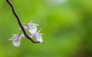 G6422656c46ed1b3975c68fc22c2975f7a61d676ef19586f7460cd1b2b919b5c747361b64c586d8cfa1c6efdf0a177304ed6f0bde61e1c1be4fa017f76a7e855a 640