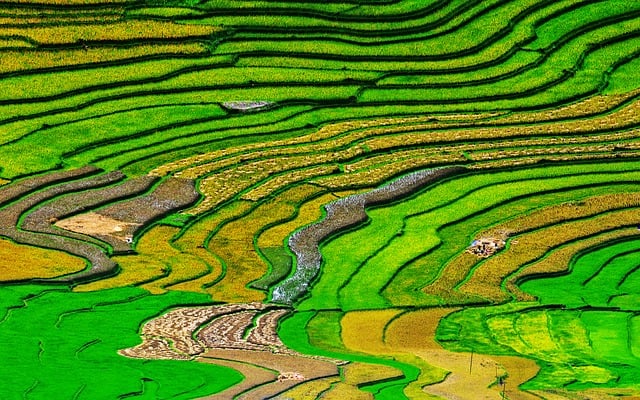 Ga43a6068c1eabffa33a18db92f7cf821541fc95a004ee84cad3733f6ed74ffaeb39773837157d2c020e3cf55e9b636bdda20b82ea45758ce2726673a080ea17a 640