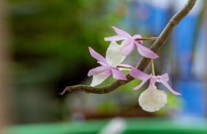 Gbb7719ff8ff52abd19b37f214a360fdbe0ee4efaa182ebd5cd6e3b67590271e3757c605cf9d3055304f6af51357c9bf2aa960b76f2a20ab1770f6d8b7f33f7f4 640