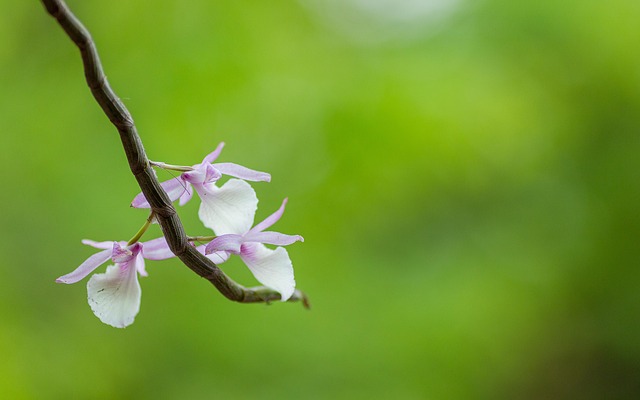 Image rame cornwall.co.uk 920 1745989262994